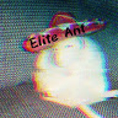 Elite Ant