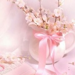 ام ايلاف الغامدي