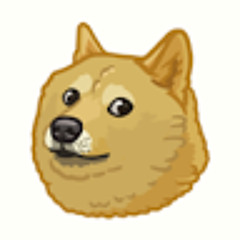 Doge Channel