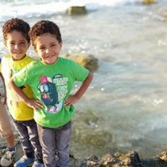 حمزه حسن