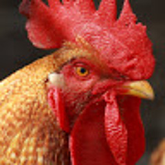 Vilje