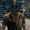 Whiterun Guard