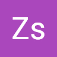 Zs 311z