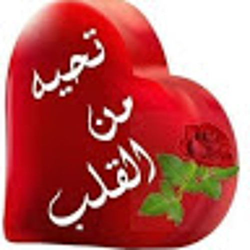 مالك محمد’s avatar