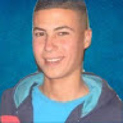 السيد عامر