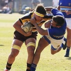 Ruan Gerber