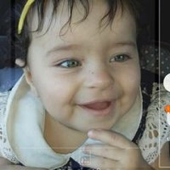 محمد ابو سيف