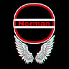 Norman 1105