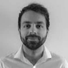 Tomas Fiallo Montero