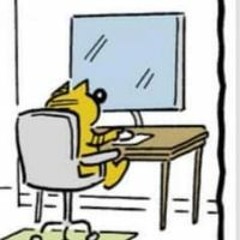 Bird-Dog without the Coyote Gospel Choir