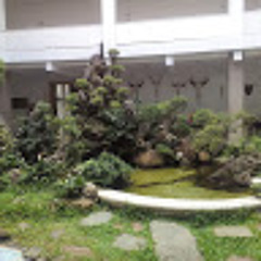 LongPhi