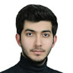 mohammad amin faghani