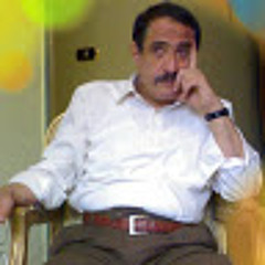 essam elbenhawwy