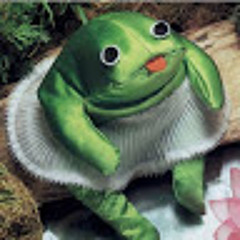roborockett