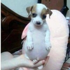 ㅁ