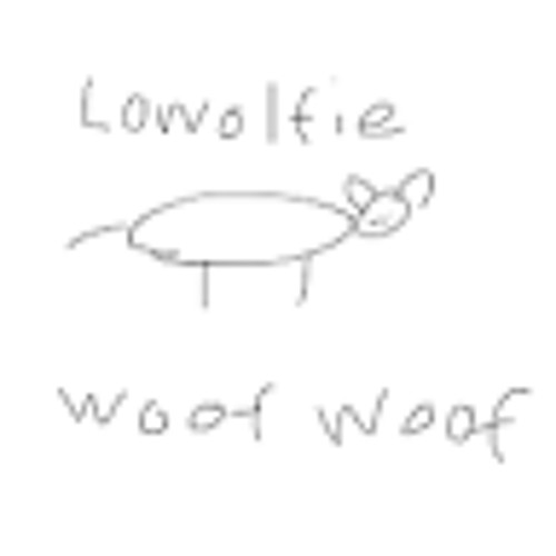 Wolfie Boii’s avatar