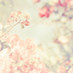 Mashael Alghamdi