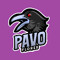 Pavo Flores