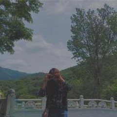신하연