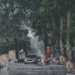 Trần Thị Hồng Nhung