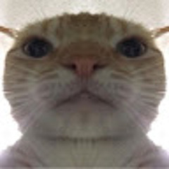 Nekoo