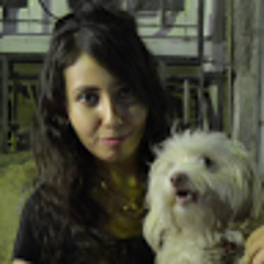 User 928002480