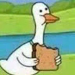 User 339235844