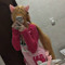 Nyumi 카사