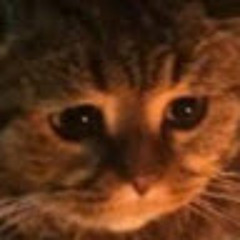 Electro Thaehan  Boing