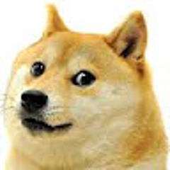 Doge Man
