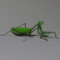 Insect Channel