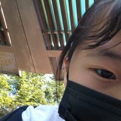 백지우