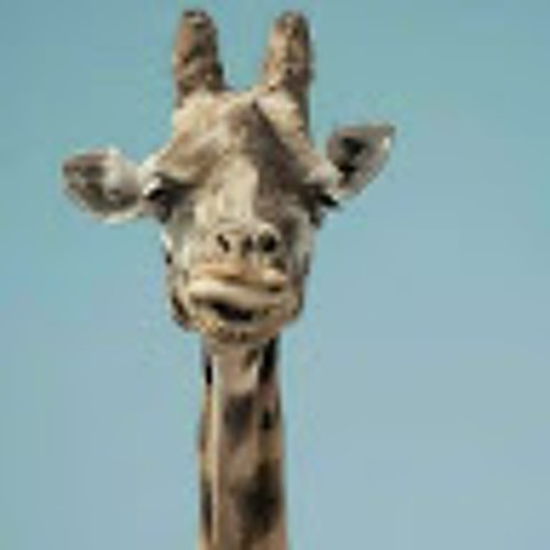 Bla$ta feat WeezGotti - On Feet