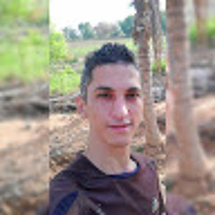 user250241834