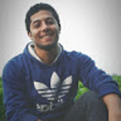 Mahmoud Adel Hegazi