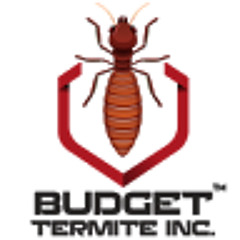 Budget Termite