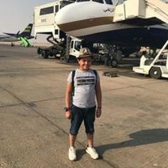 بودى طلعت