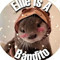 EllieBandito