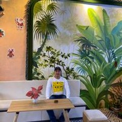 Toàn Thân Có Độc