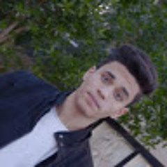 انس محمد صالح حمادي