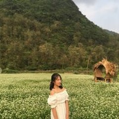 Nguyenn Thuyy Linhh