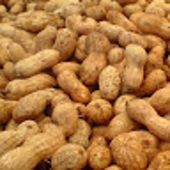 slimypeanut