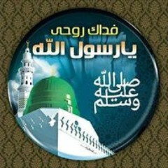 محمد كامل منصور الماوي