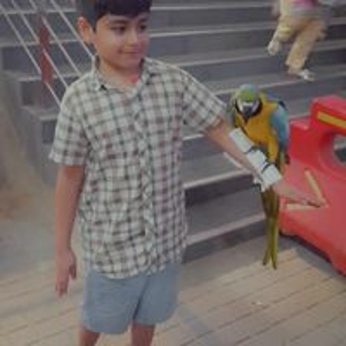 Ibrar Izhar’s avatar