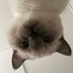 User 211177747
