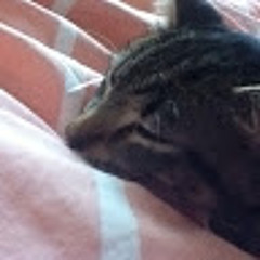 Mick and Prue Verhoeven