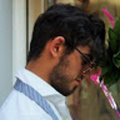 aras shoghi