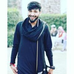 Raja Shumail