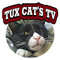 Tux Cat's TV턱스피싱