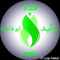 وليد المسافره